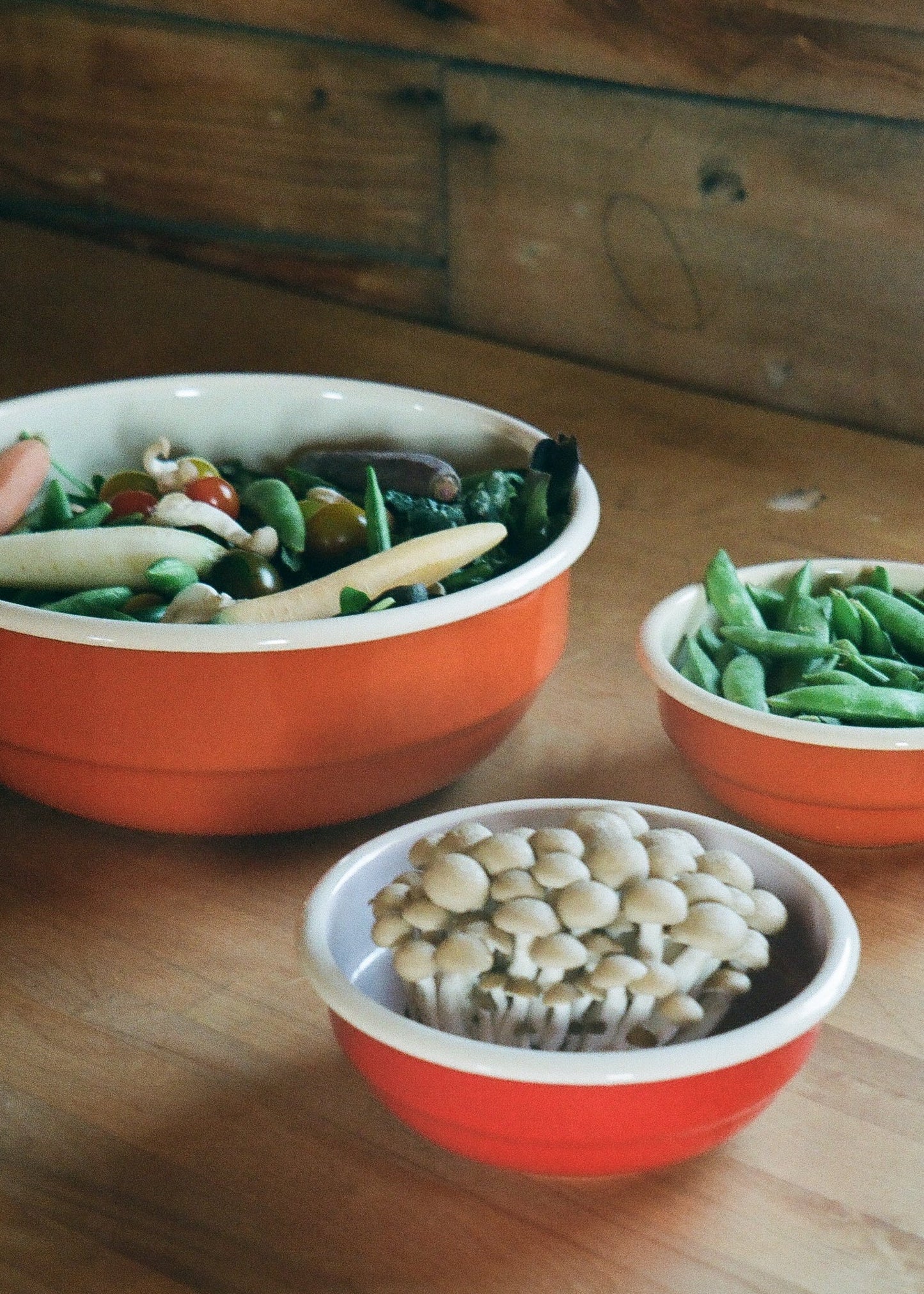 Enamel Mixing Bowl - Ballerina Farm
