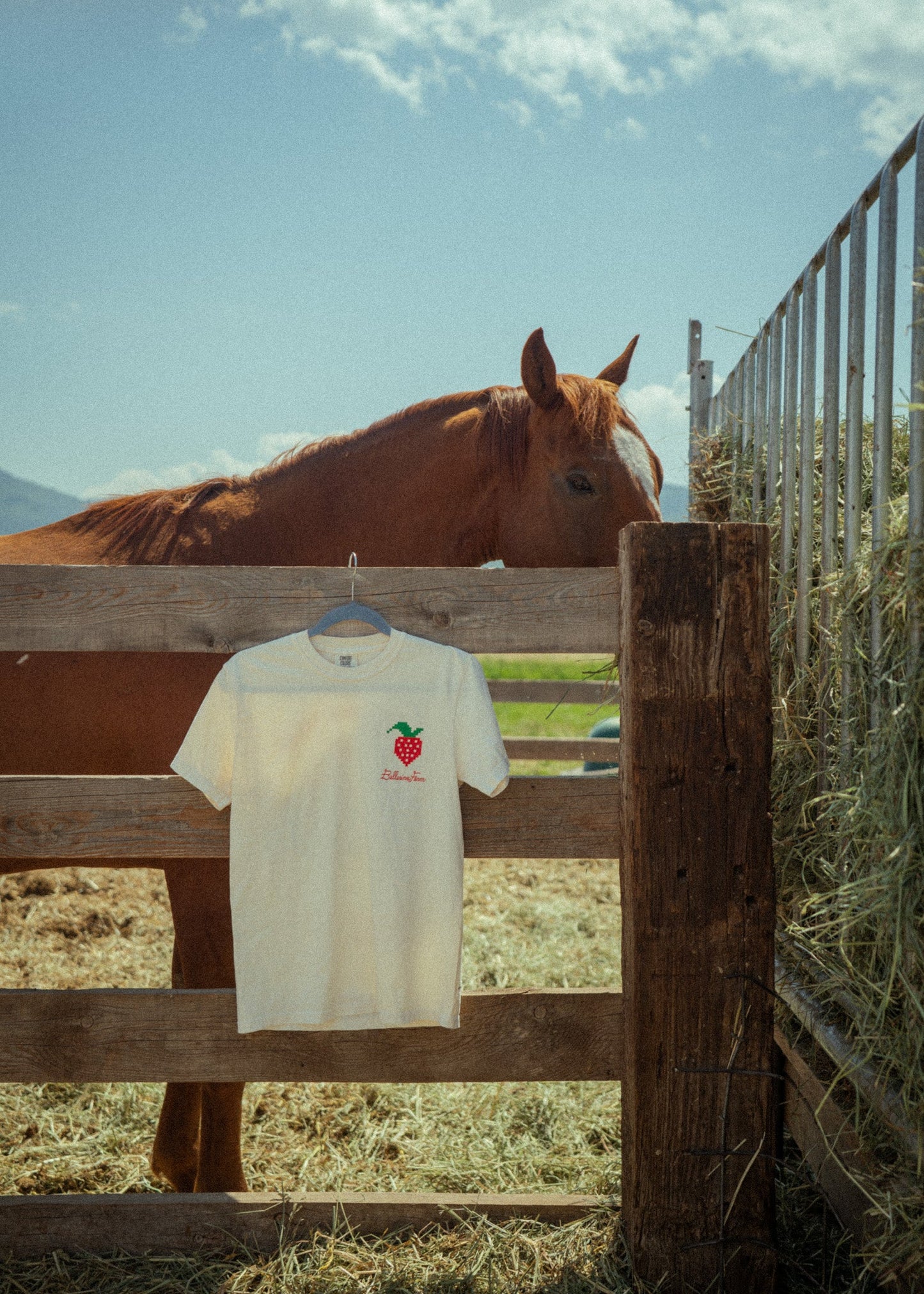 Strawberry Cr¨¨me Tee - Ballerina Farm