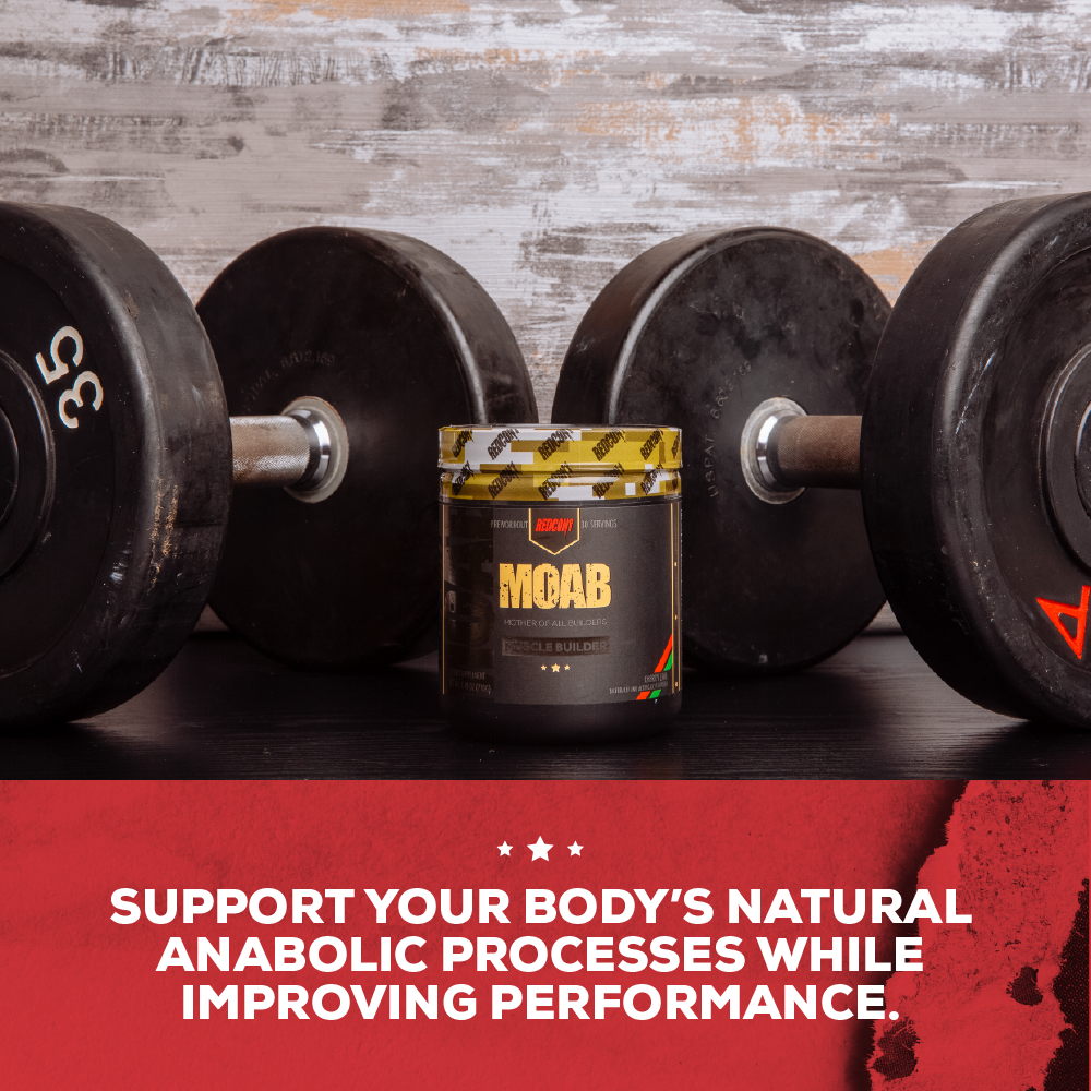 Moab - Support