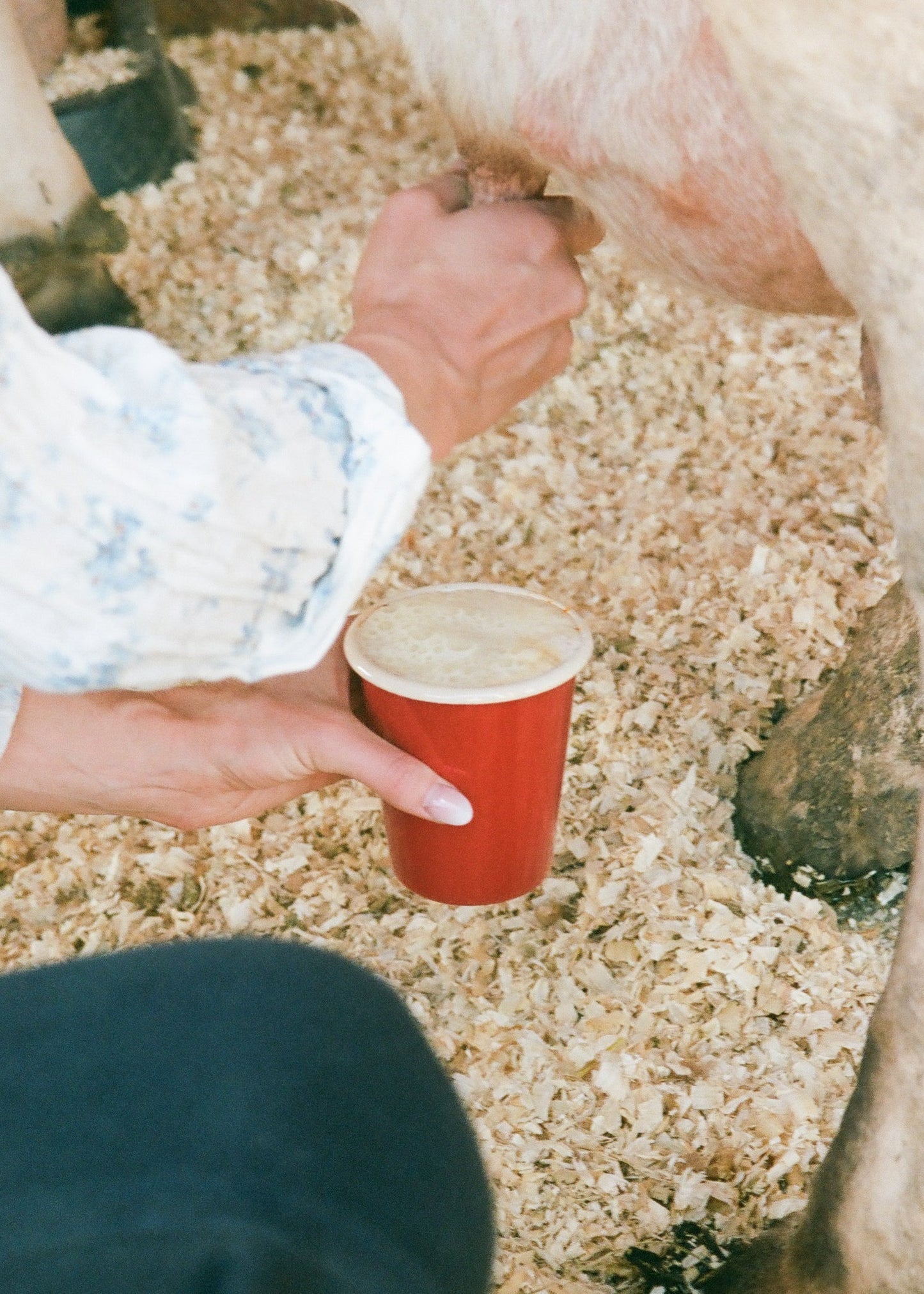 Enamel Cup - Ballerina Farm