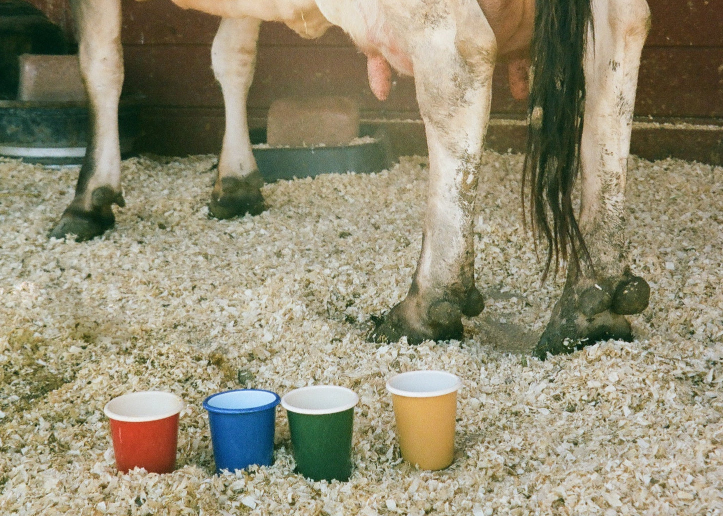 Enamel Cup - Ballerina Farm