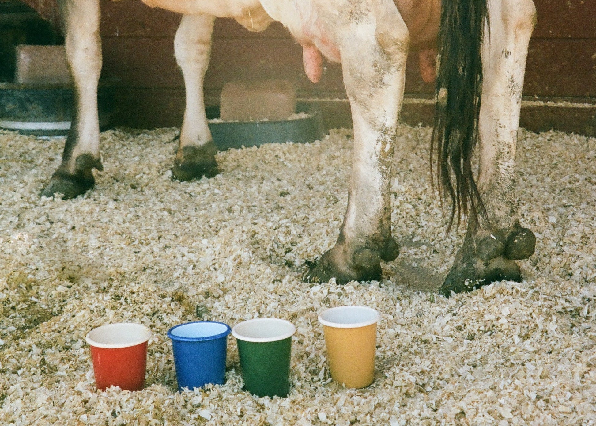 Enamel Cup - Ballerina Farm