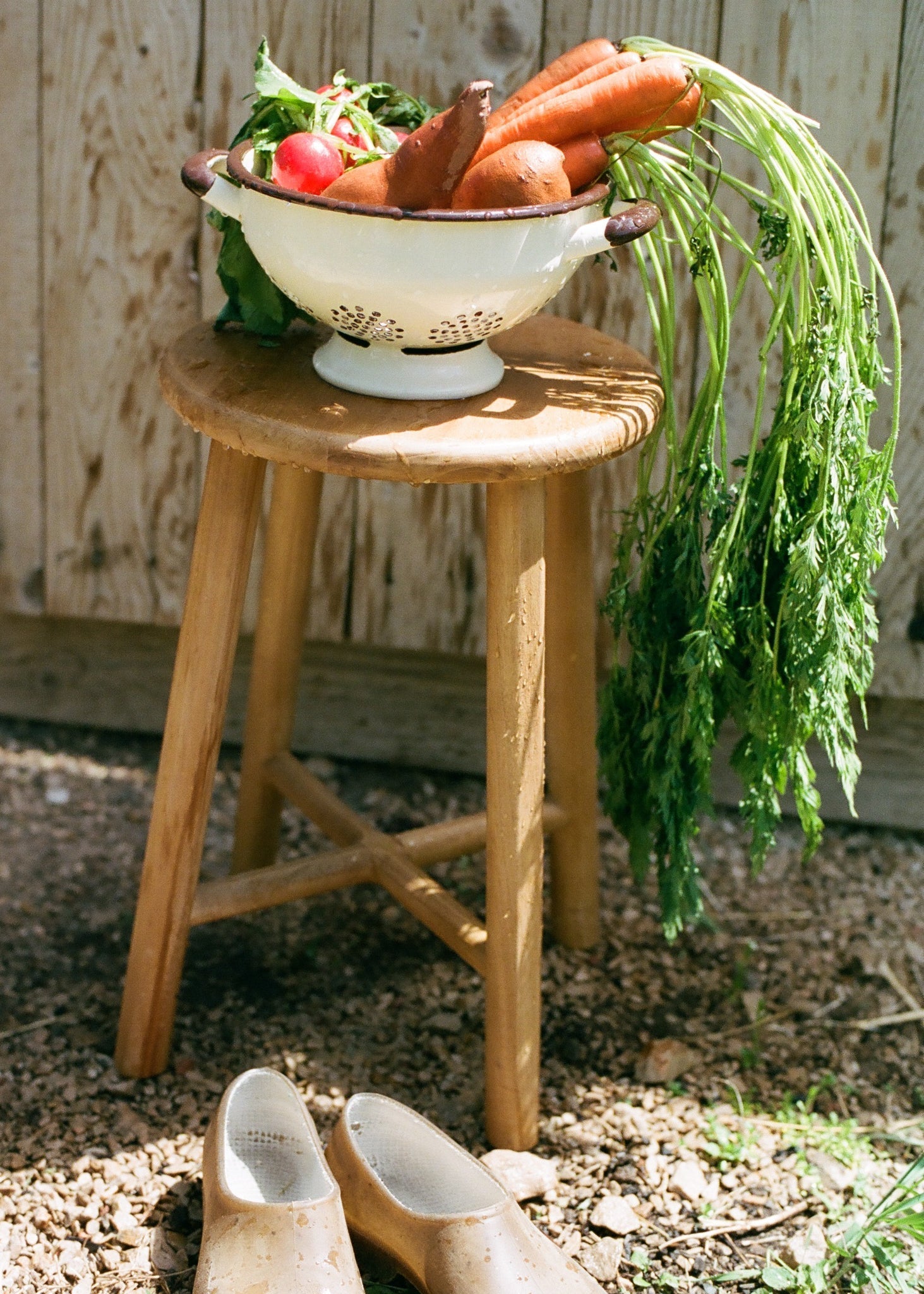 Enamel Colander - Ballerina Farm