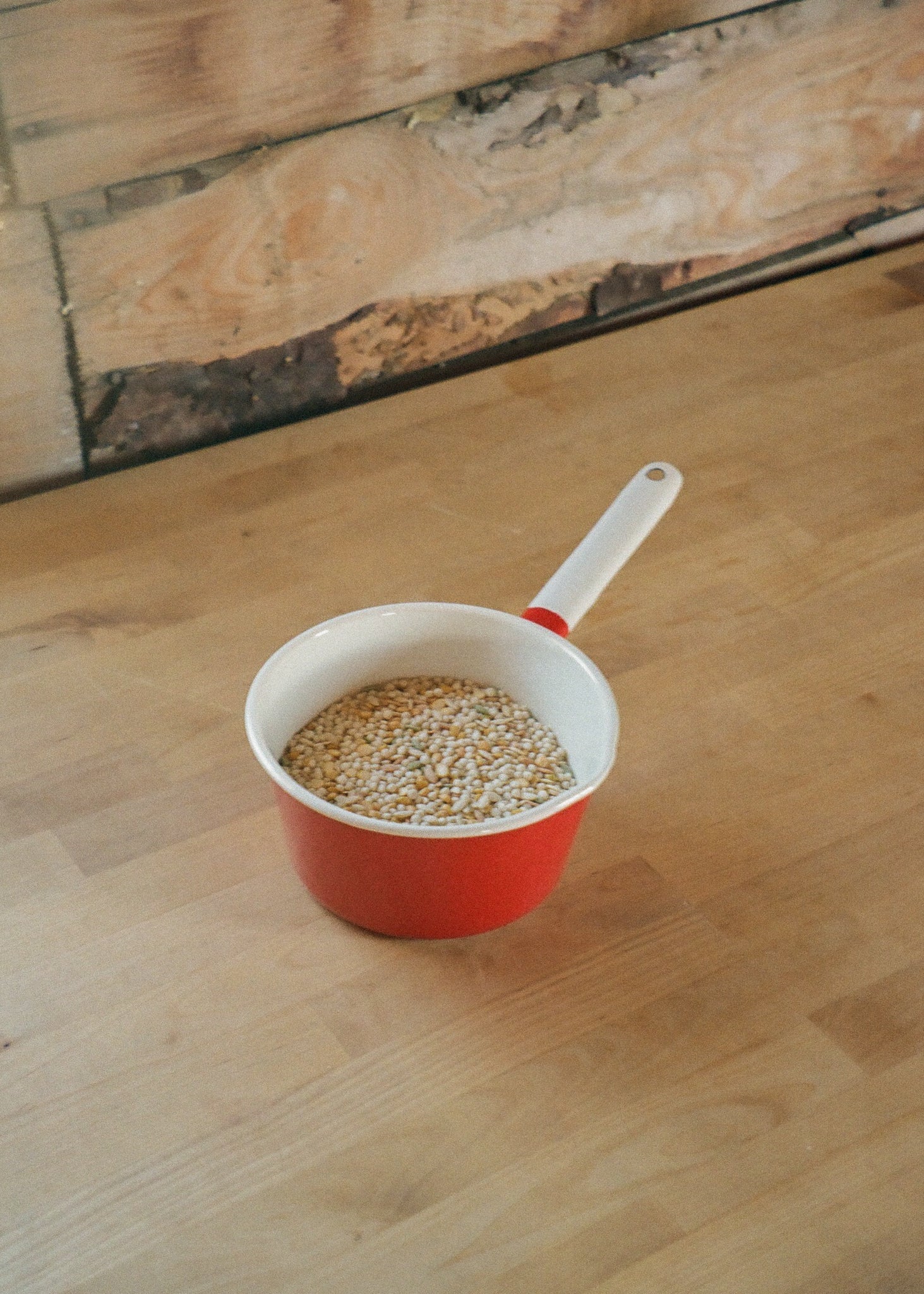 Enamel Saucepan - Ballerina Farm
