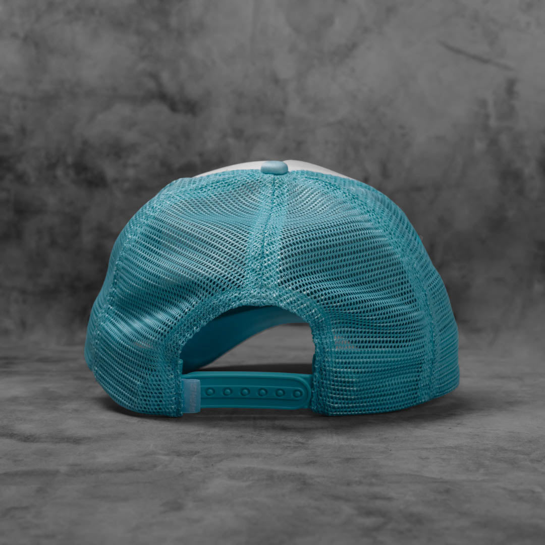 #color_arctic-white