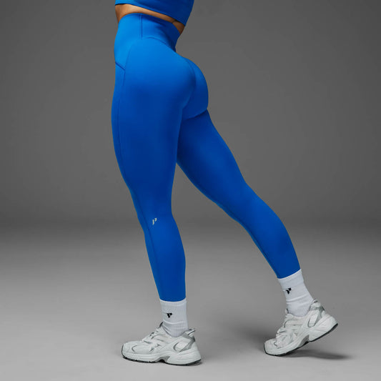 #color_blue-jay