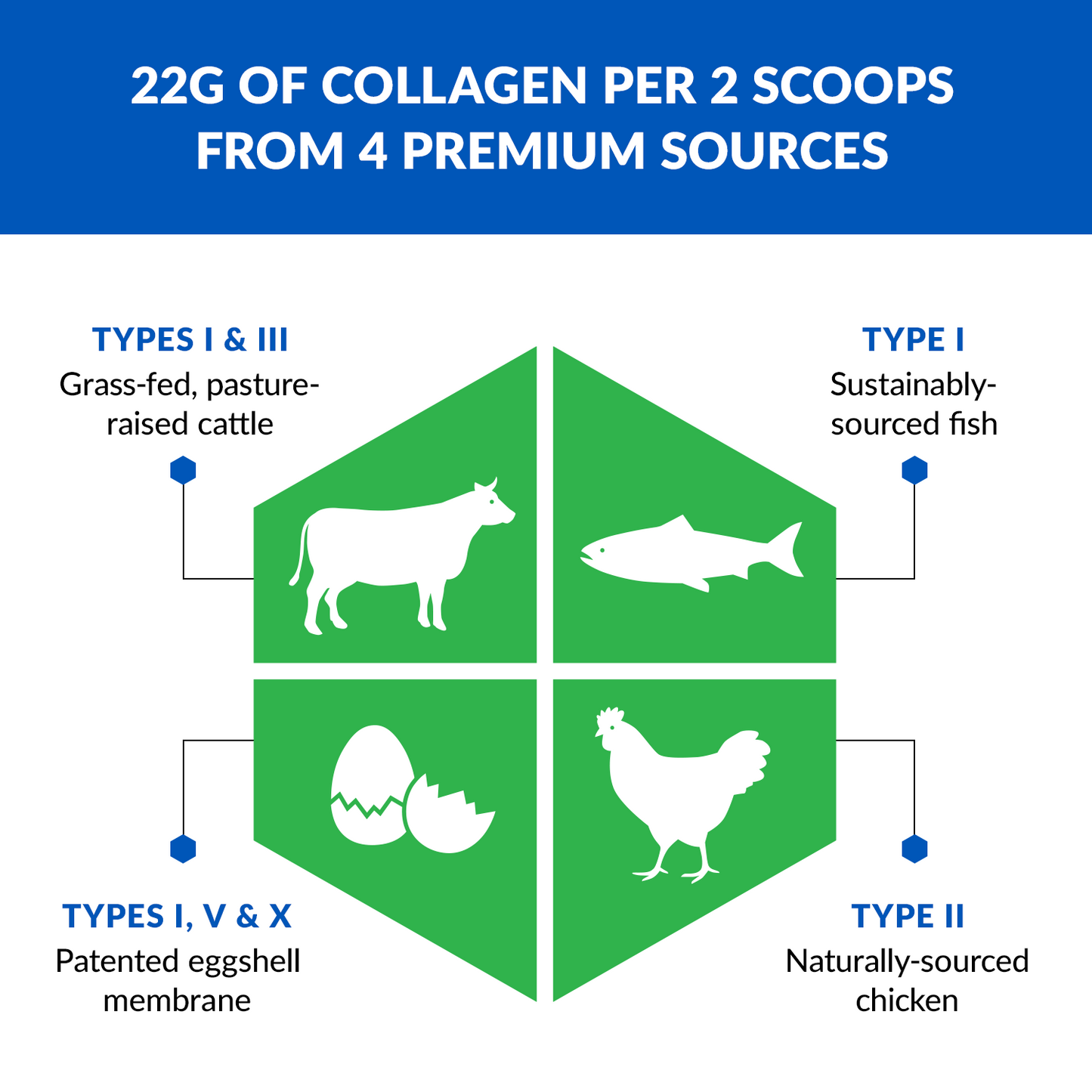 AGELESS MULTI-COLLAGEN? PROTEIN POWDER