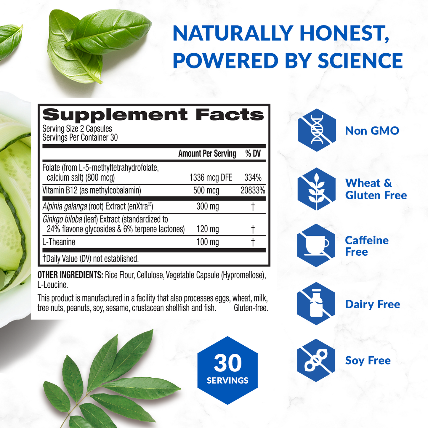 Brain Bright? ĄŞ Brain Support Supplement
