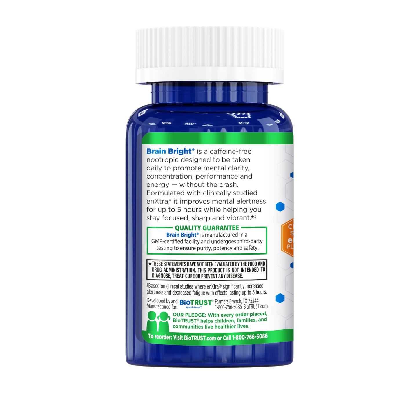 Brain Bright? ĄŞ Brain Support Supplement