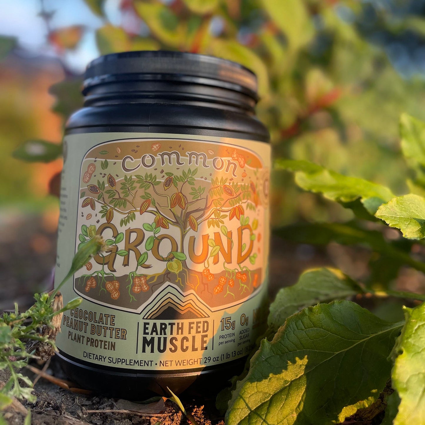 Common Ground Chocolate Peanut Butter Plant Protein
