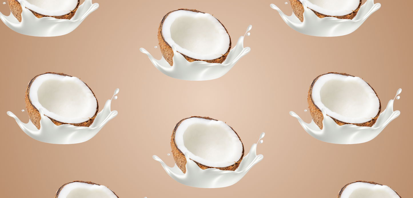 Clear Protein: Coconut Cr¨Śme (12 Pack)