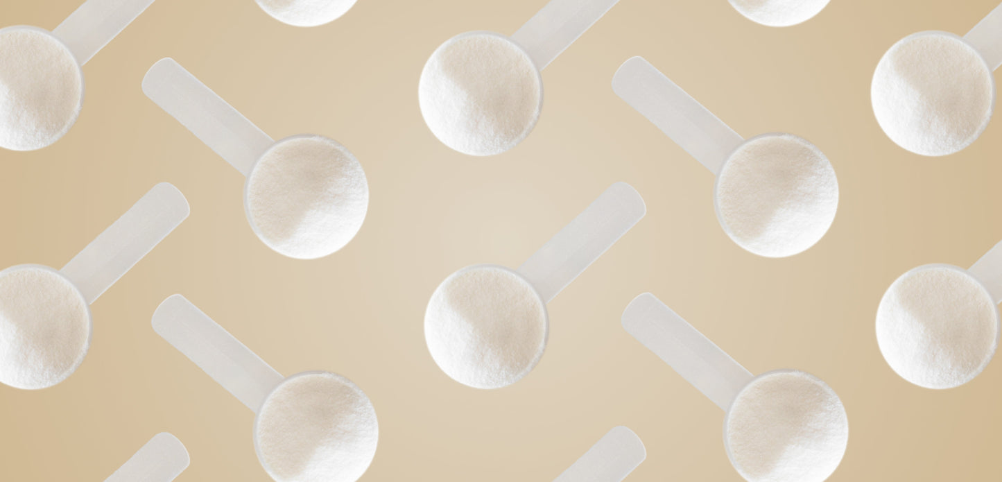 Collagen + Beauty Blend: Unflavored (10 Single Serving Stick Pack)