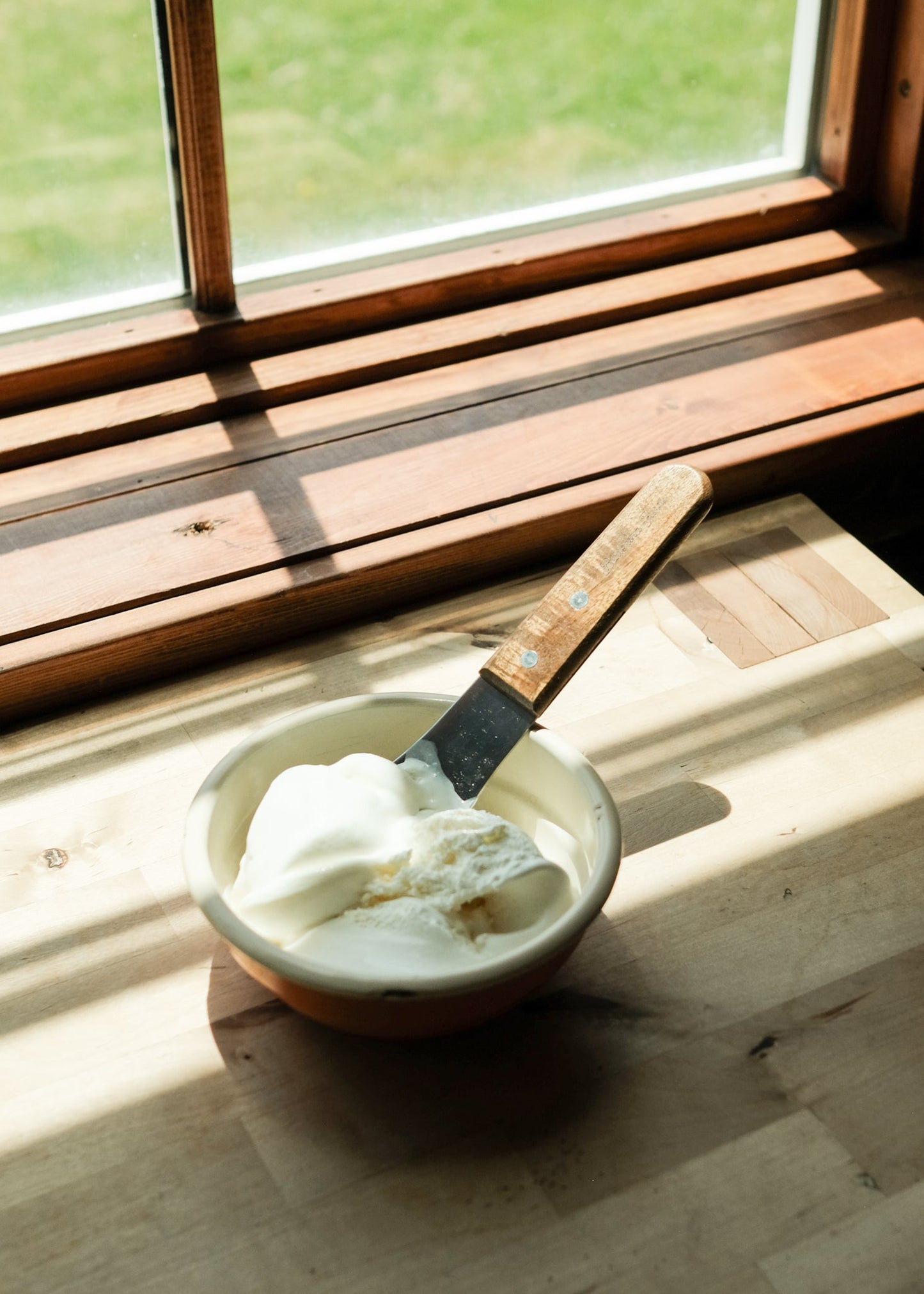 Ice Cream Scoop - Ballerina Farm