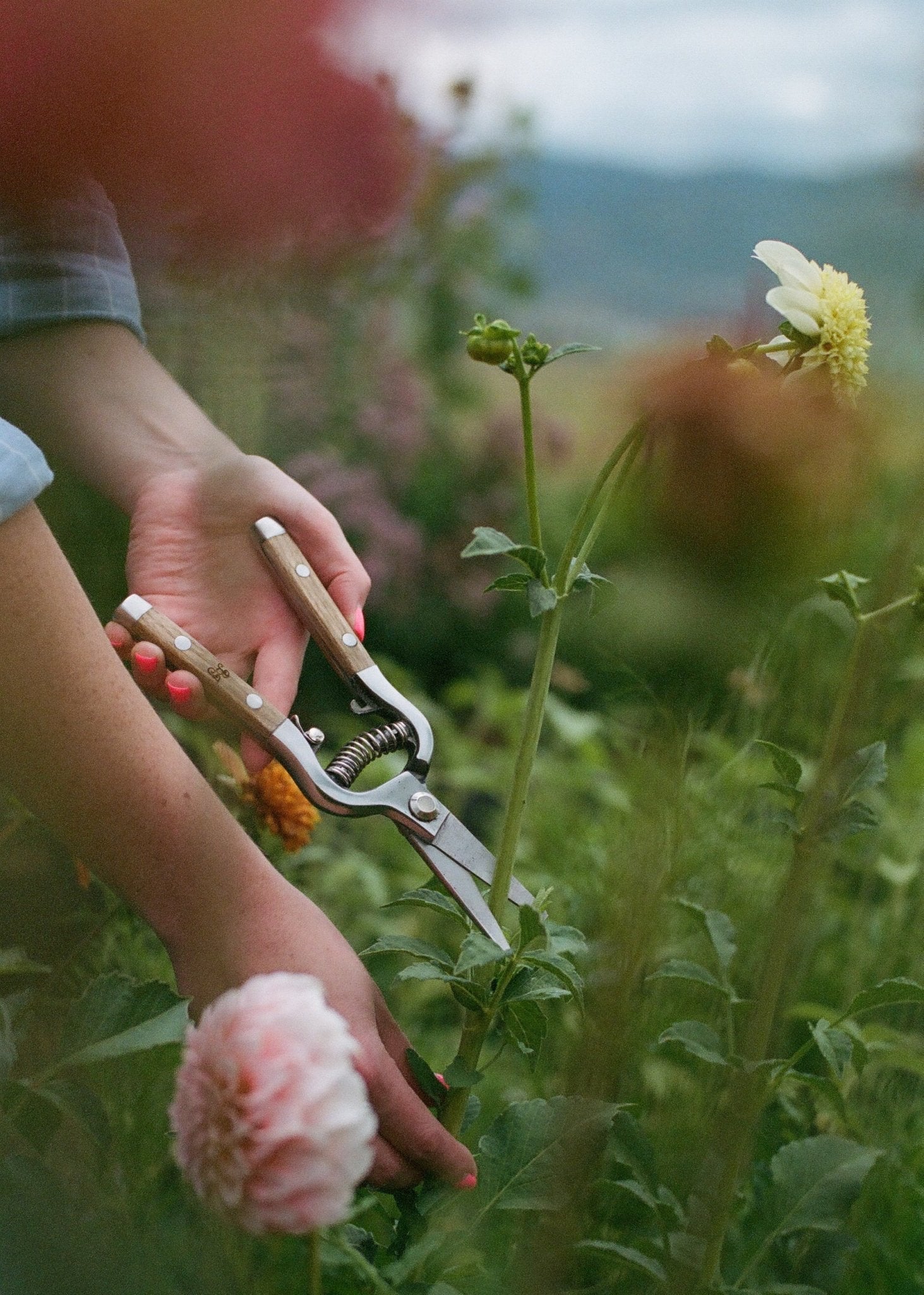 Flower Shears - Ballerina Farm