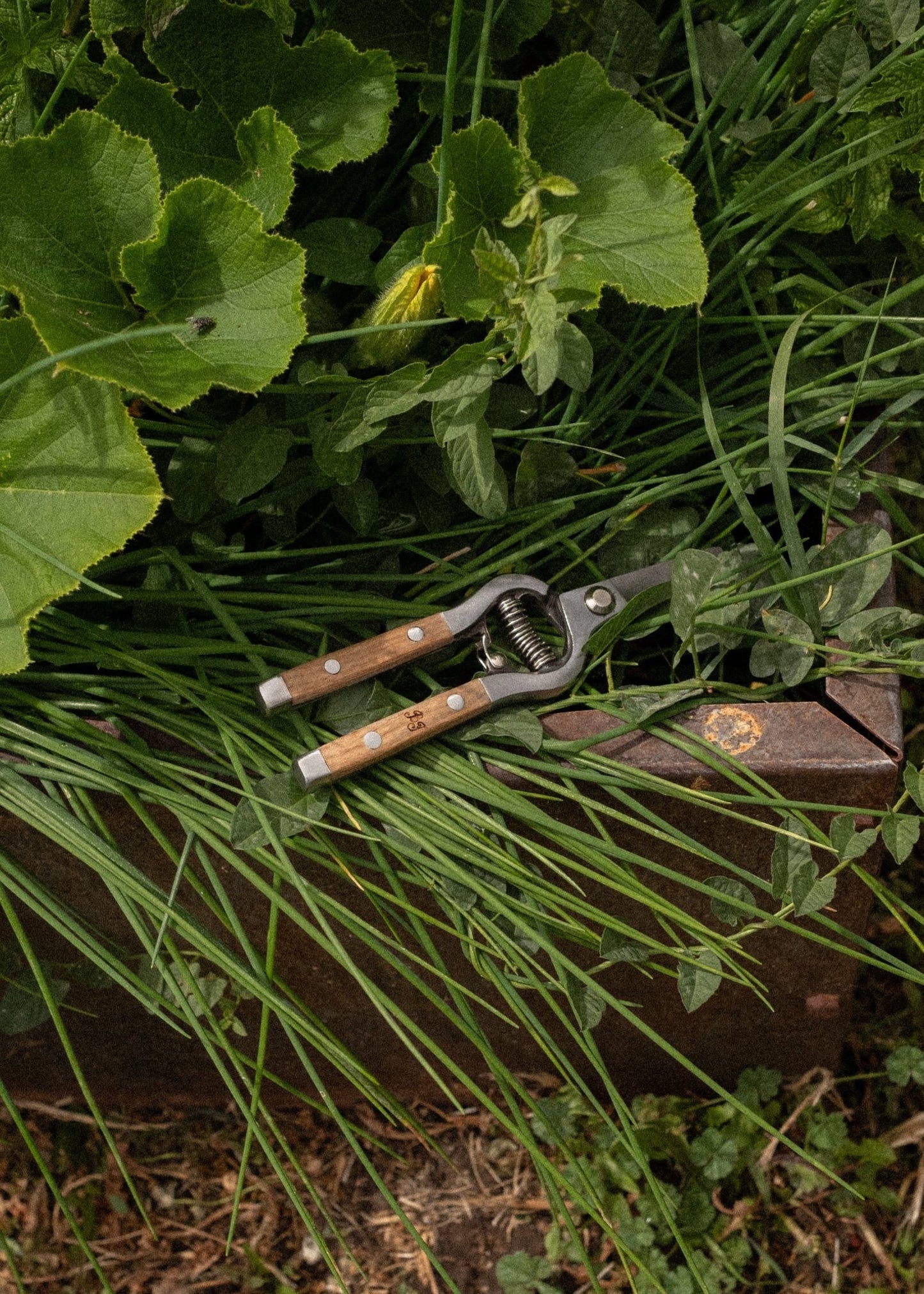 Flower Shears - Ballerina Farm