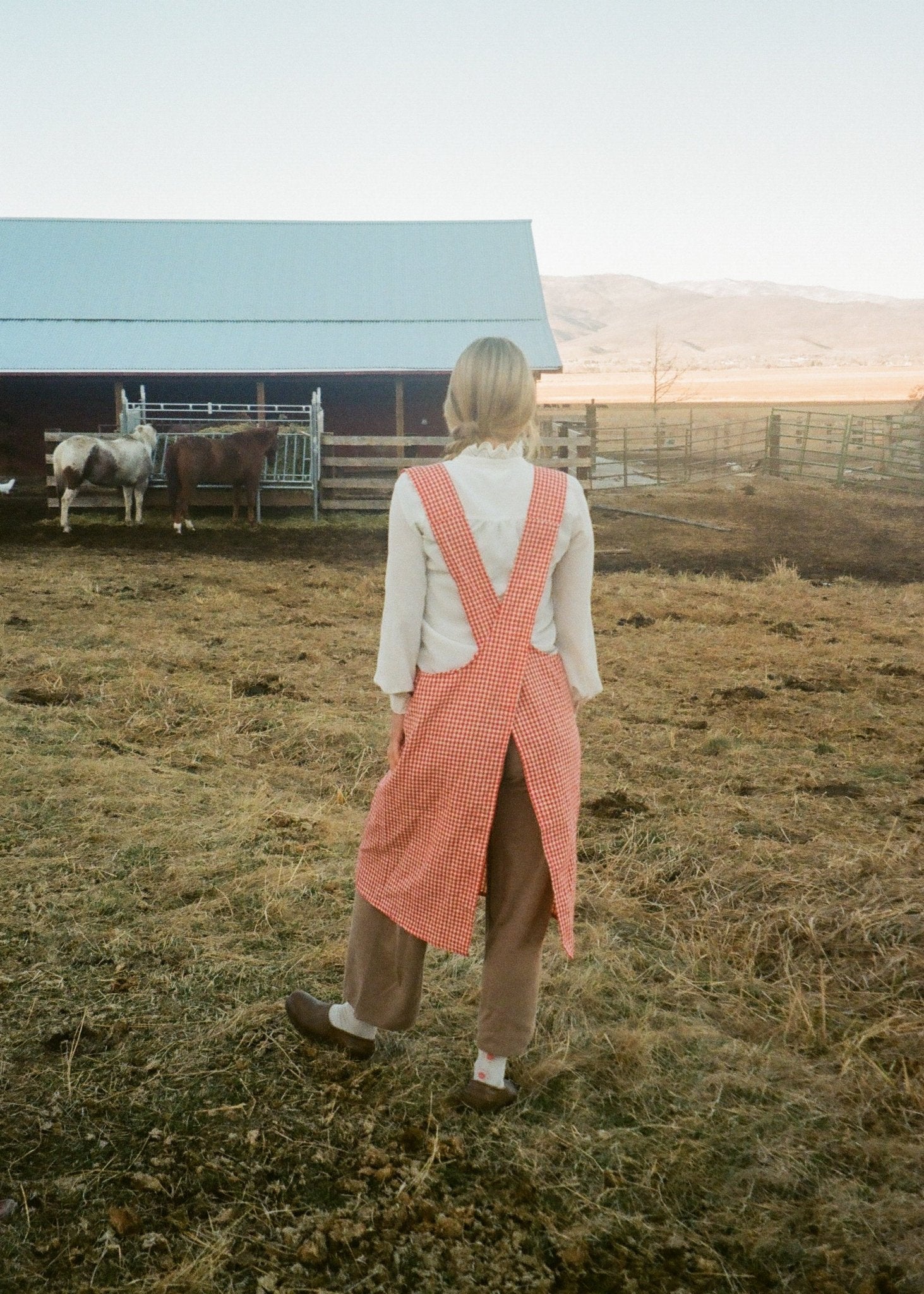 Adult Jour Apron - Ballerina Farm