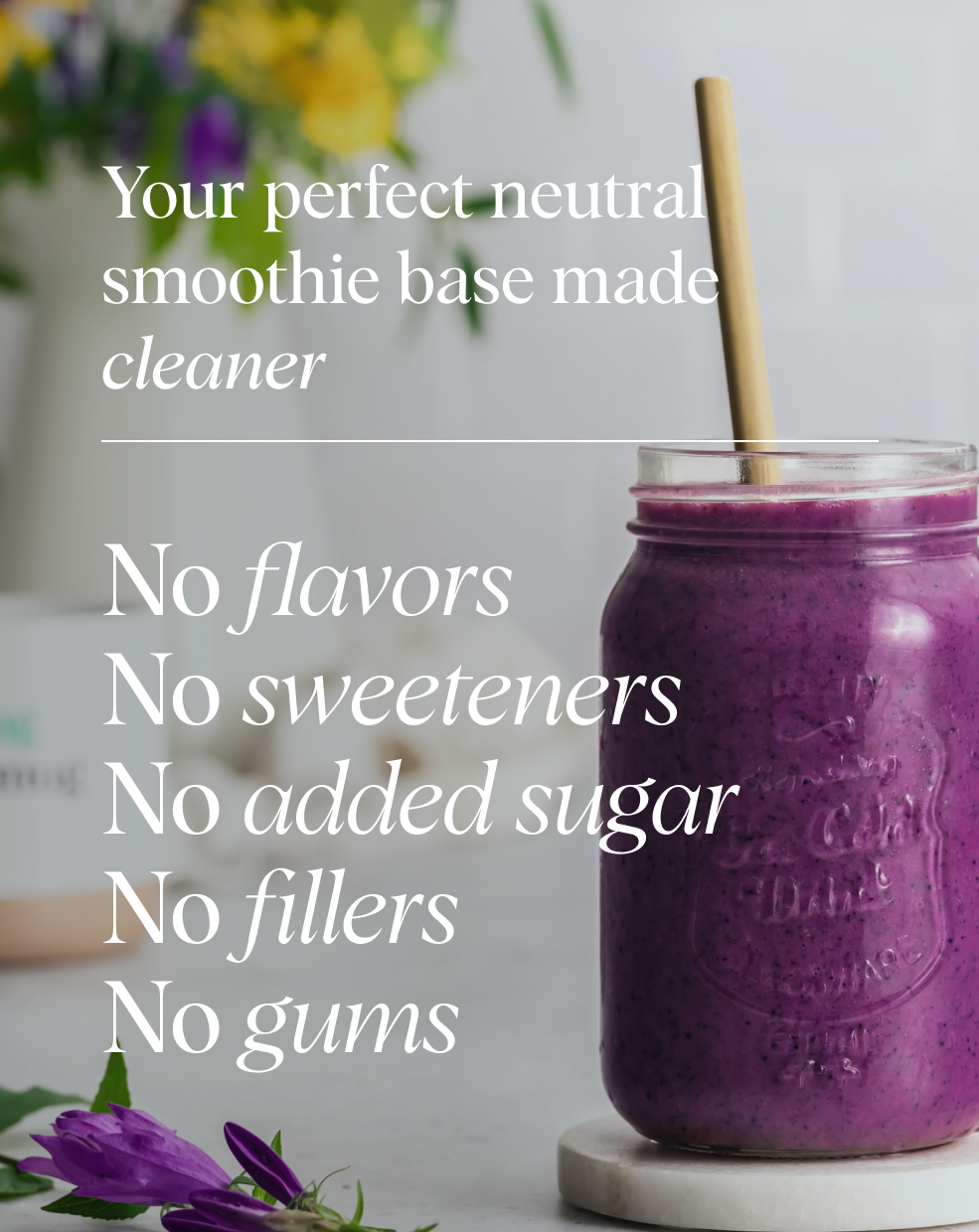 Organic Plant-based Protein Powder