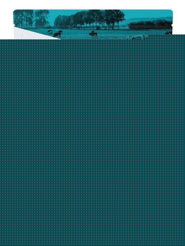WPI90