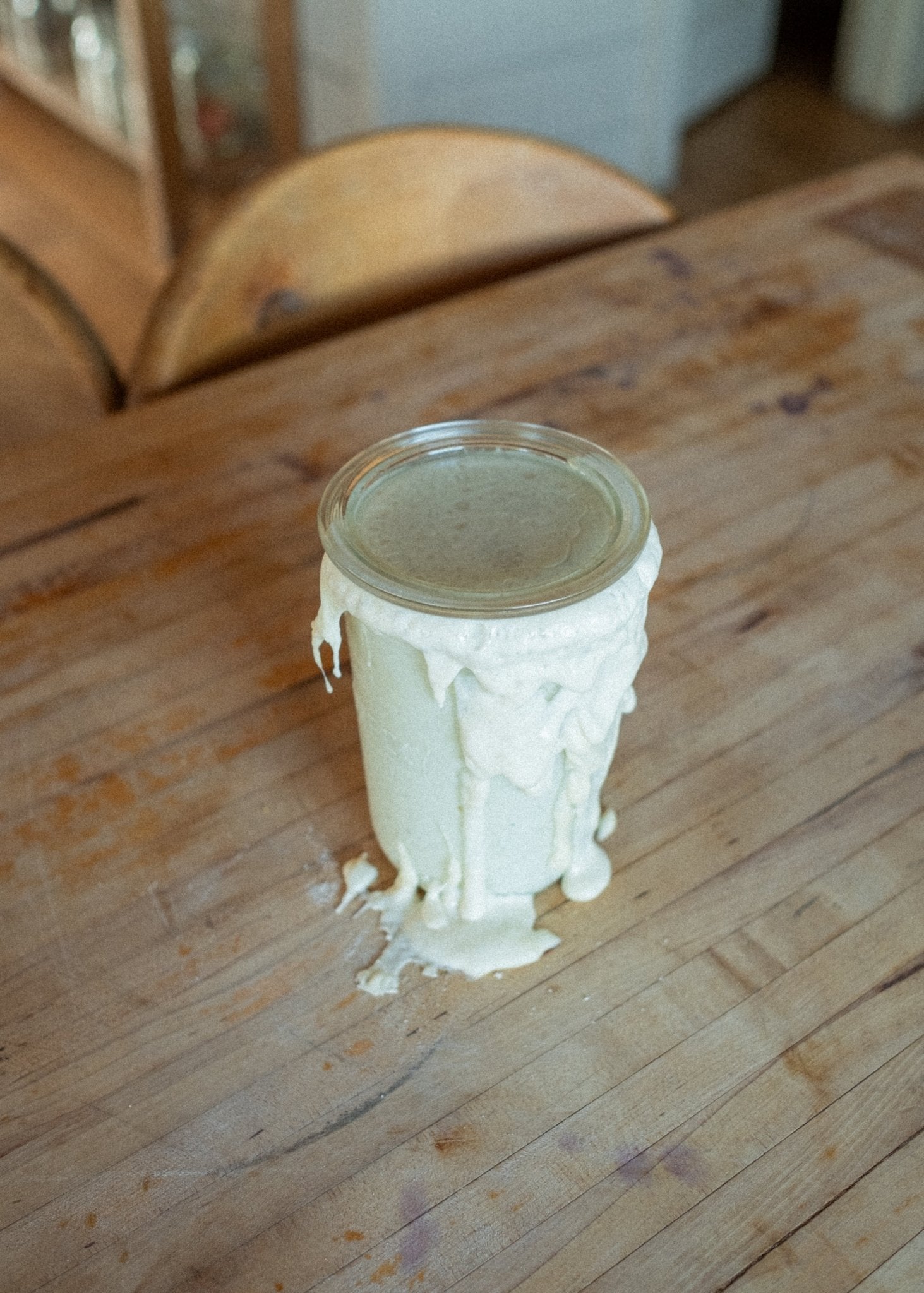 Willa Sourdough Starter - Ballerina Farm