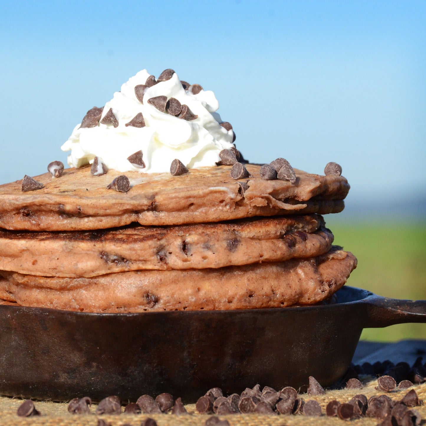 Griddle n' Grind Chocolate Chip Pancake and Waffle Mix