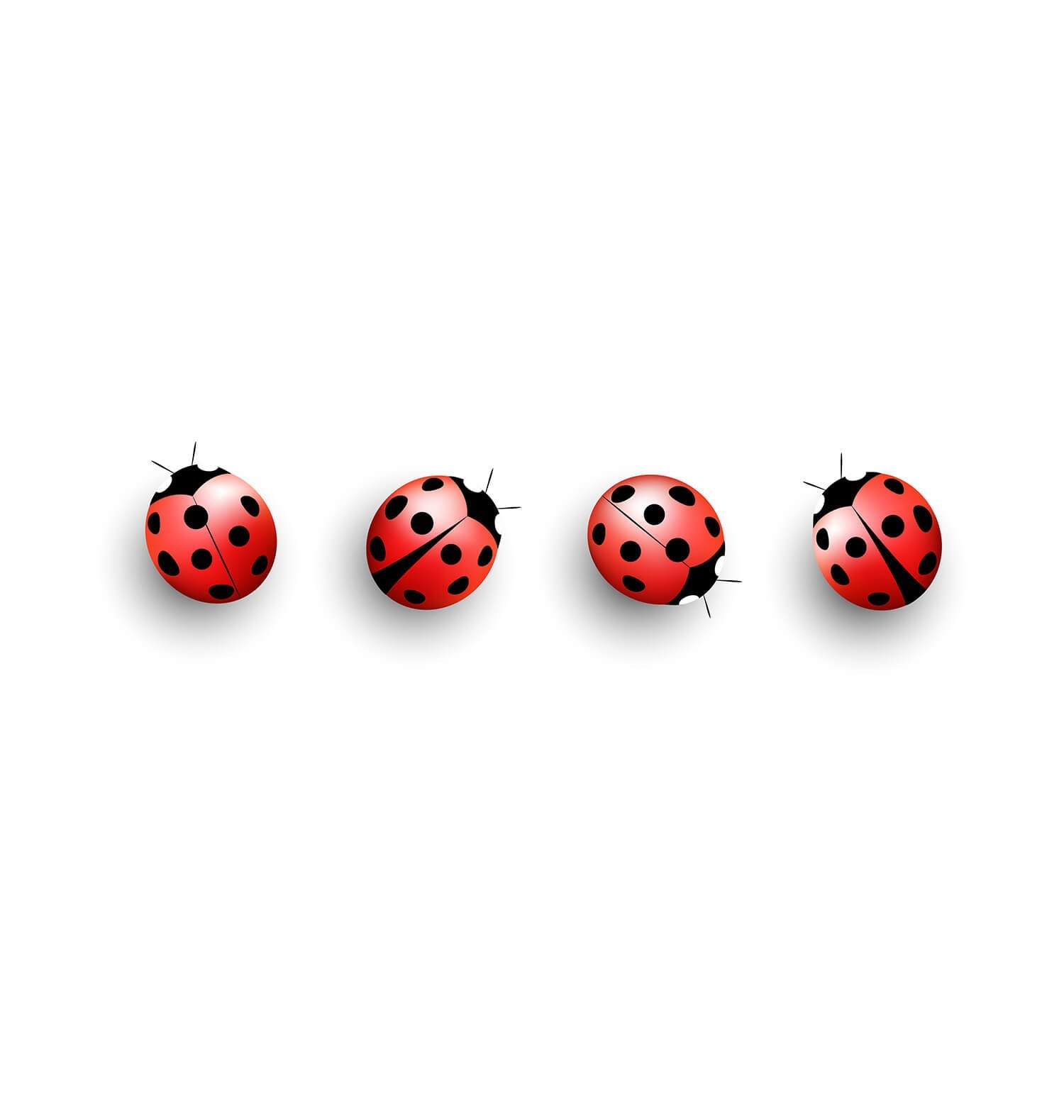 Ora Organic Lady Bugs Probiotic Supplement