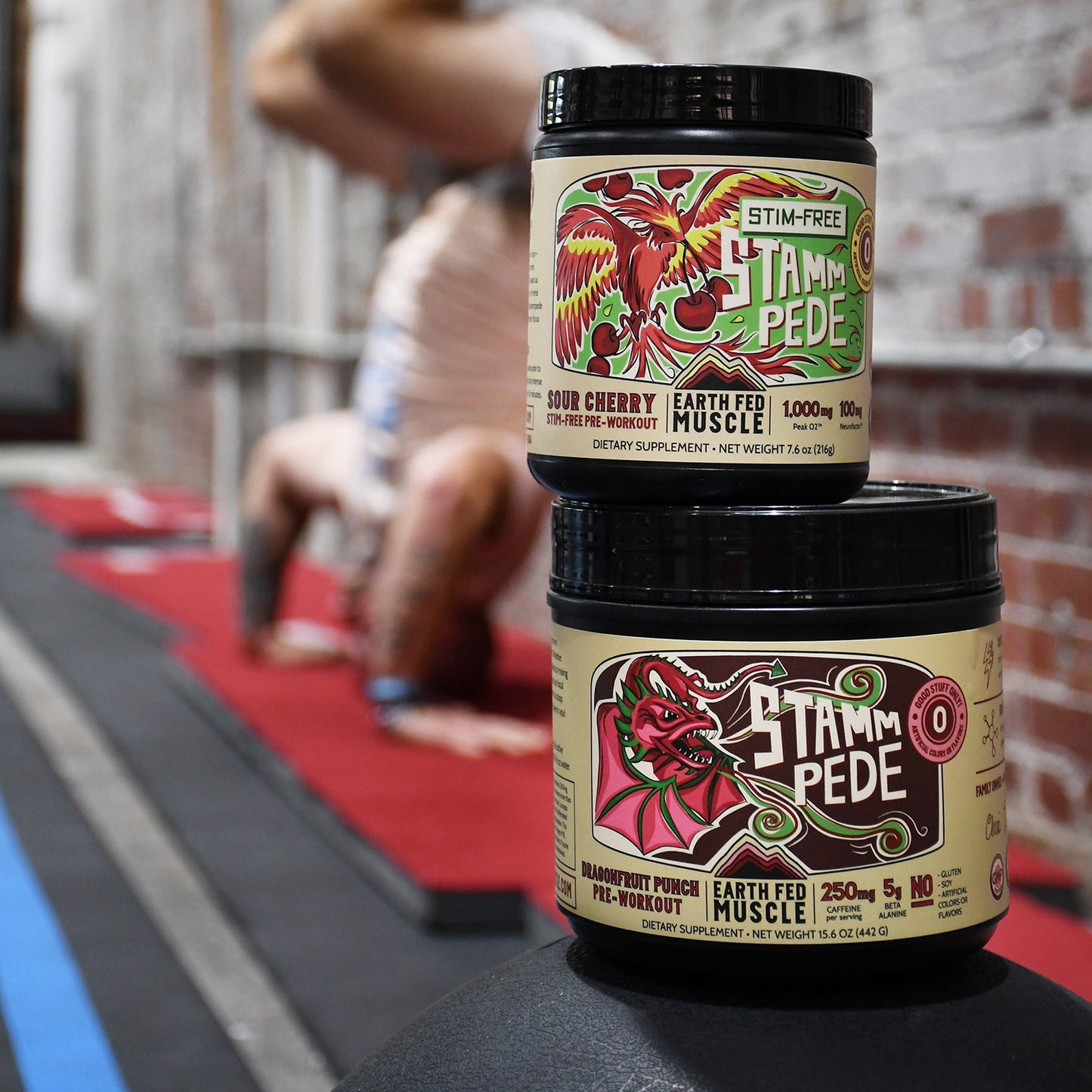 Stammpede DragonFruit Punch Preworkout