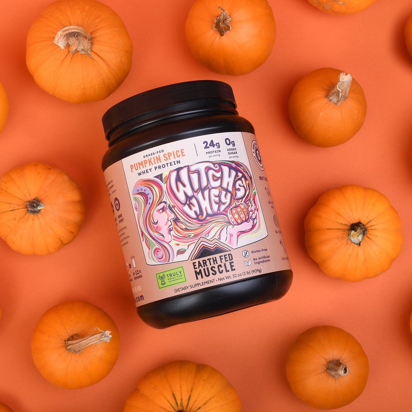 SEASONAL FLAVOR: WitchĄŻs Whey Pumpkin Spice Grass-Fed Whey Protein